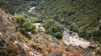 Tal des Río Hozgarganta im Naturpark Los Alcornocales