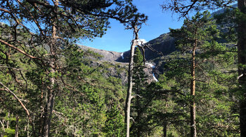 durch die Kiefern sieht man auf den Søtefossen und Nykkjesøyfossen