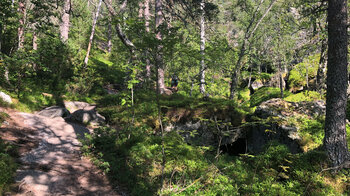 Pfad zur Alm Nykkjesøy