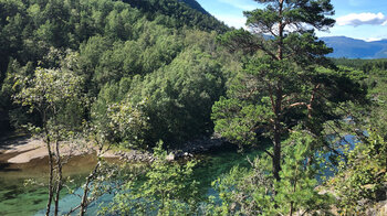 Idylle am Fluss Kinso