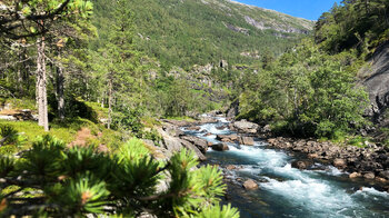 Kinso im Husedalen Tal