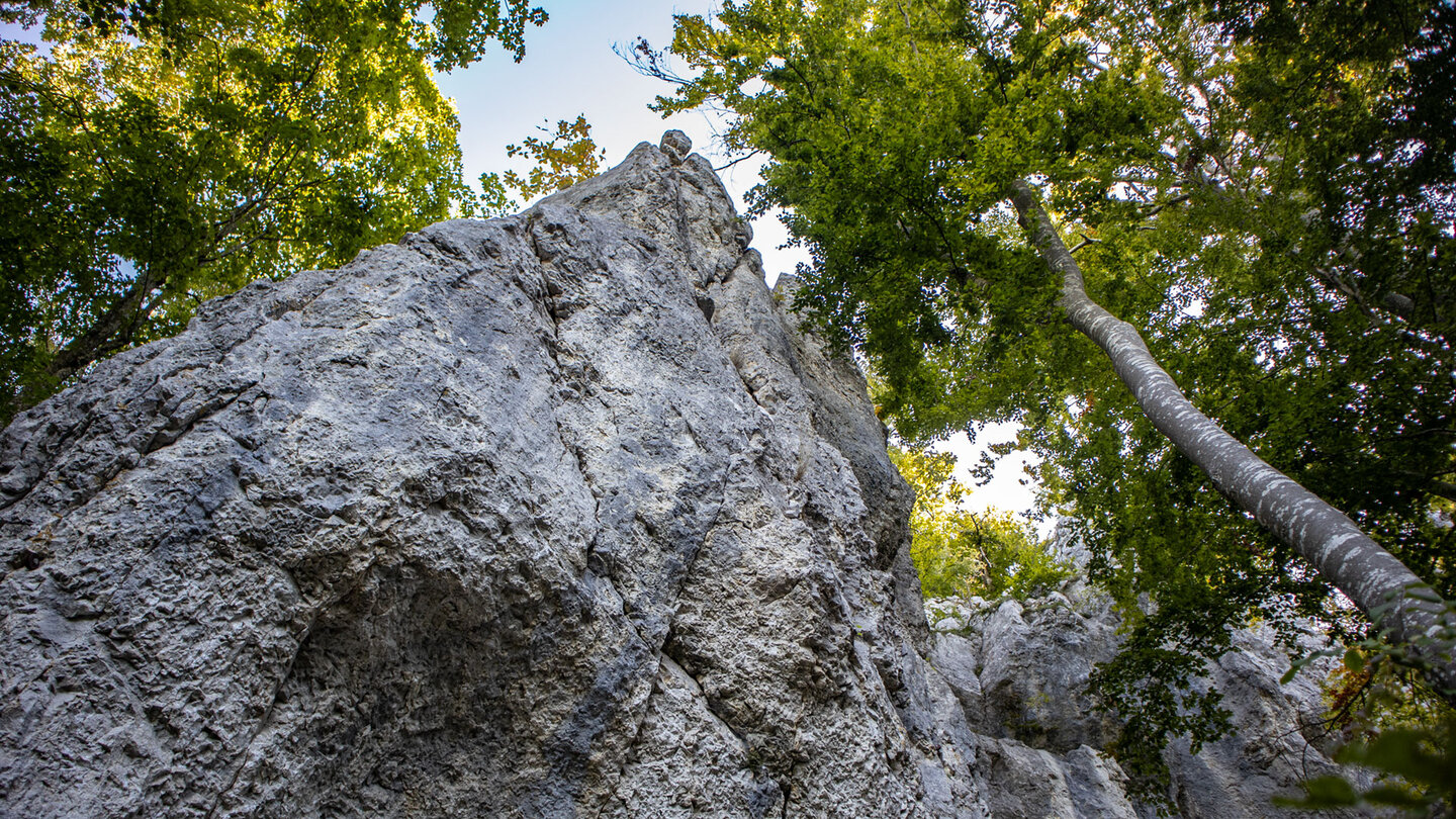 Traumfels im Donaubergland
