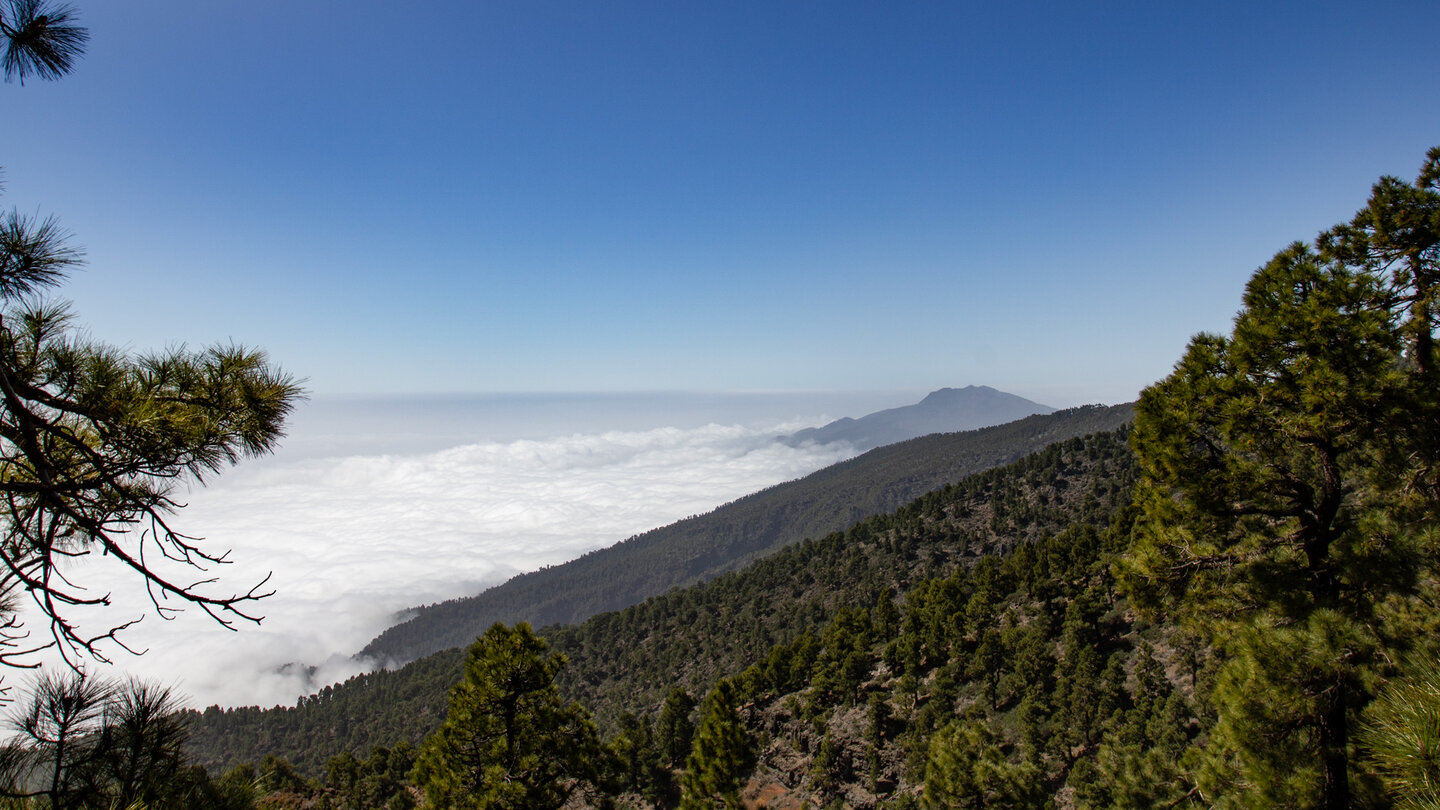 Ausblick über den Osten der Insel La Palma mit Kiefernwald und den Vulkanen der Cumbre Vieja im Hintergrund