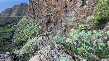 der schmale Wasserfall Salto de Itobal fließt über steile Felsen