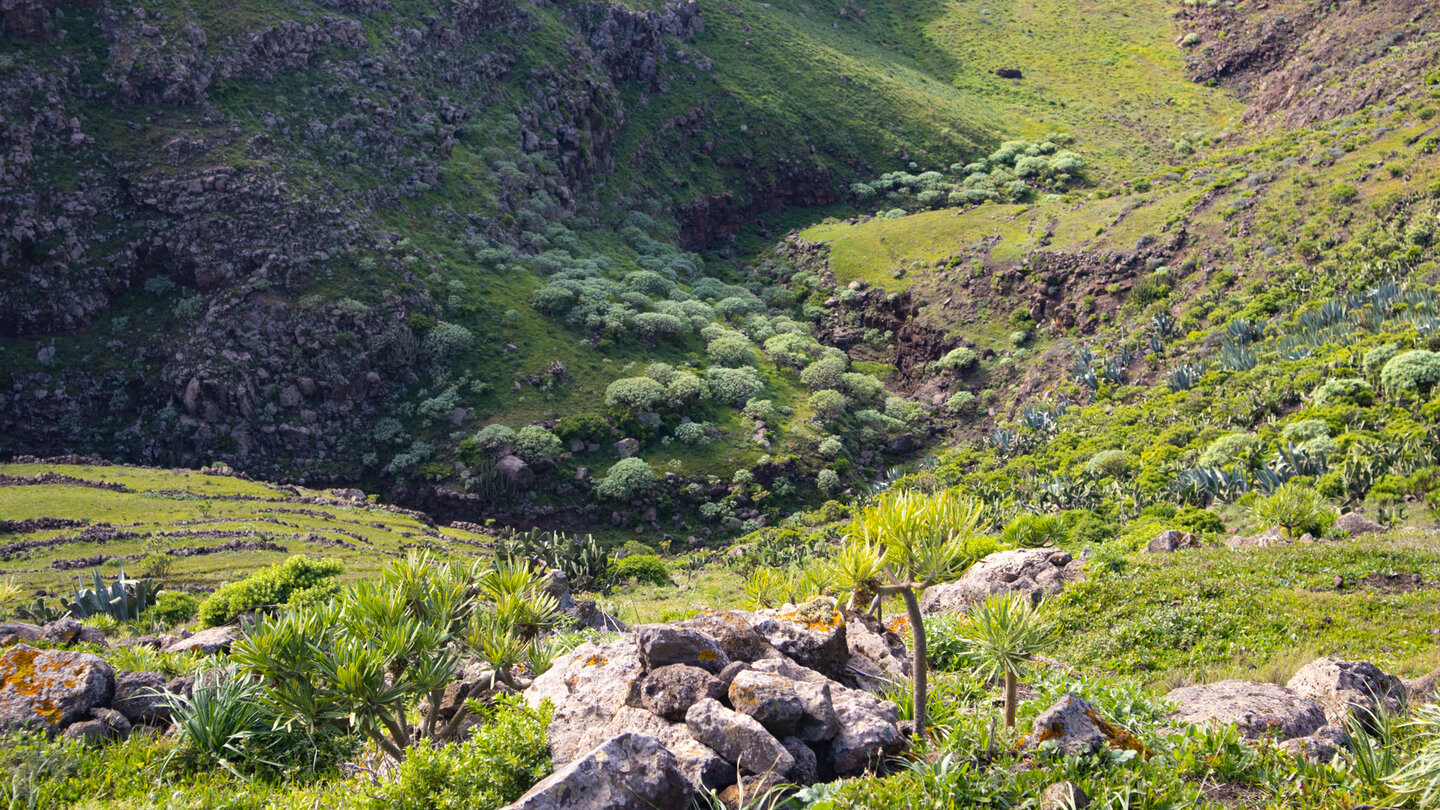 der obere Verlauf der Itobal-Schlucht endet am verlandeten Stausee