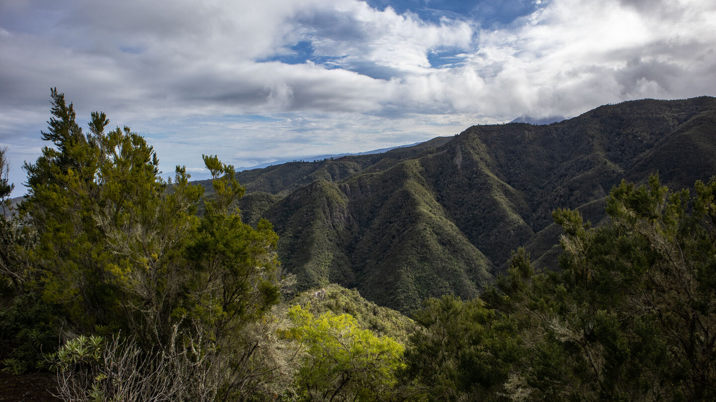 Ausblick über den Monteverde vom Wanderweg