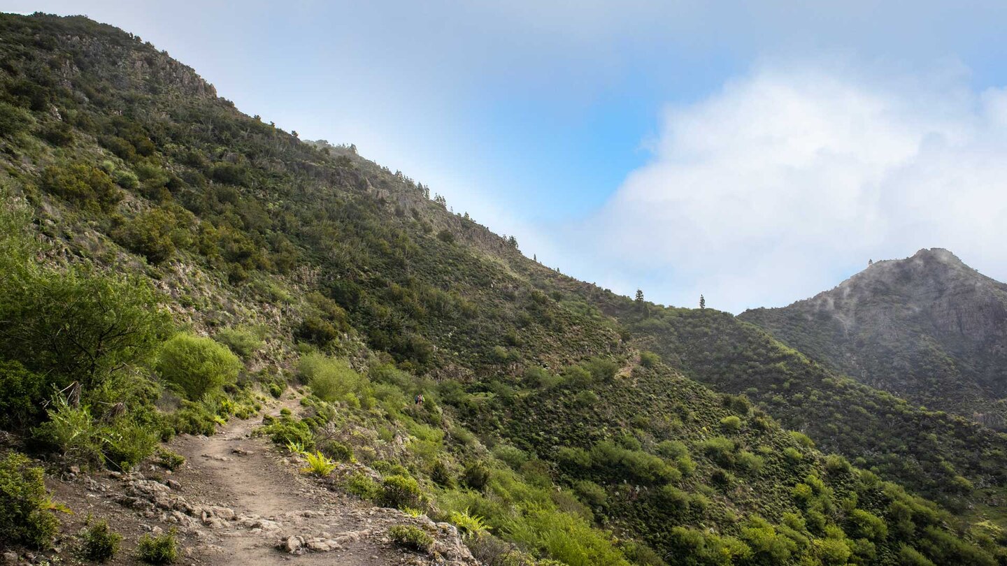 Wanderweg unterhalb des Cruz de Gala