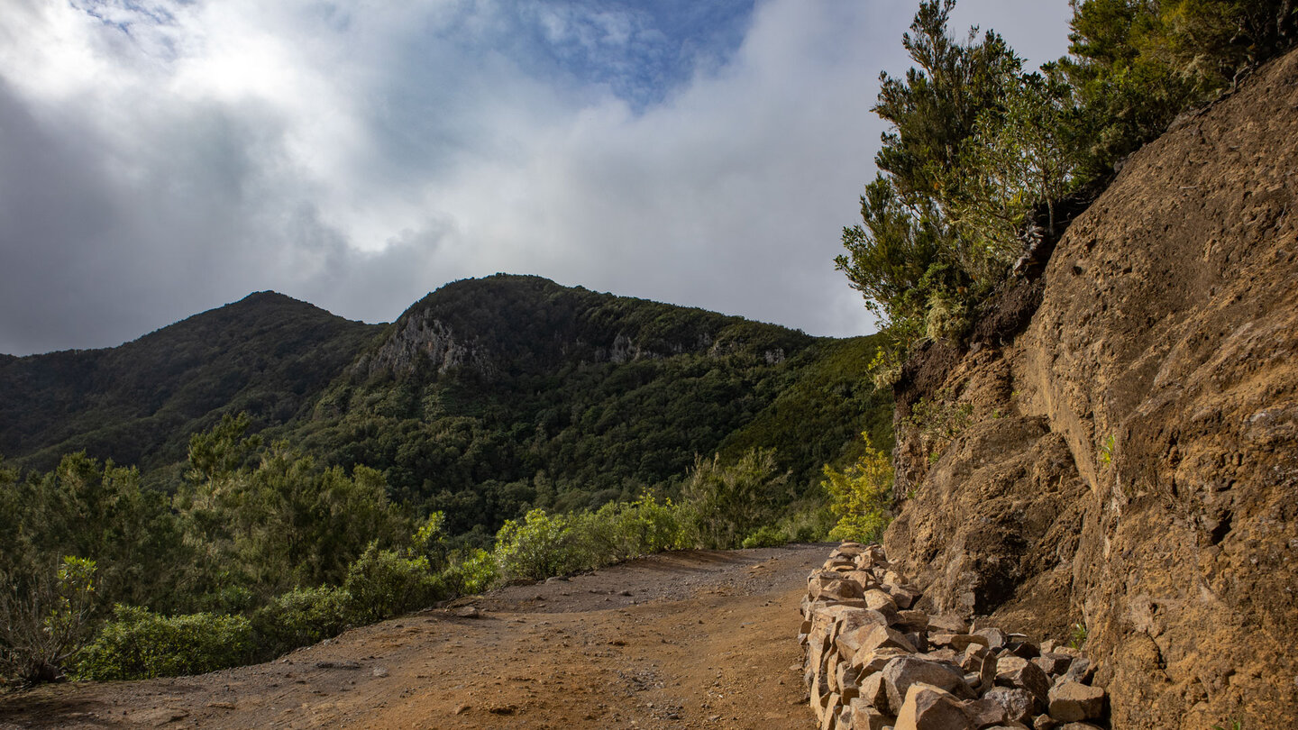 Ausblick über den Lorbeerwald entlang der Pista Monte del Agua auf dem Wanderweg PR-TF-52