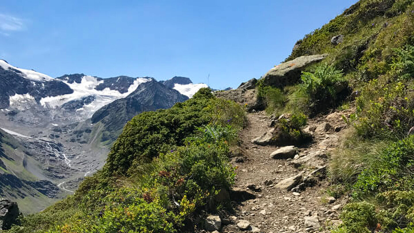 Panoramaansicht des Gletschers Taschachferner