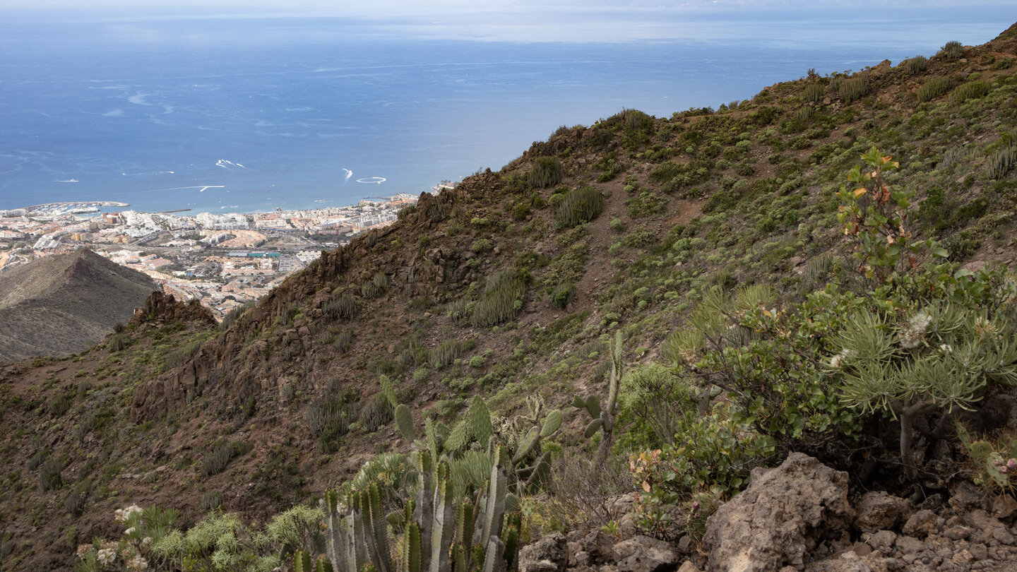 Blick auf die Vegetation und die Hafenstadt Los Cristianos