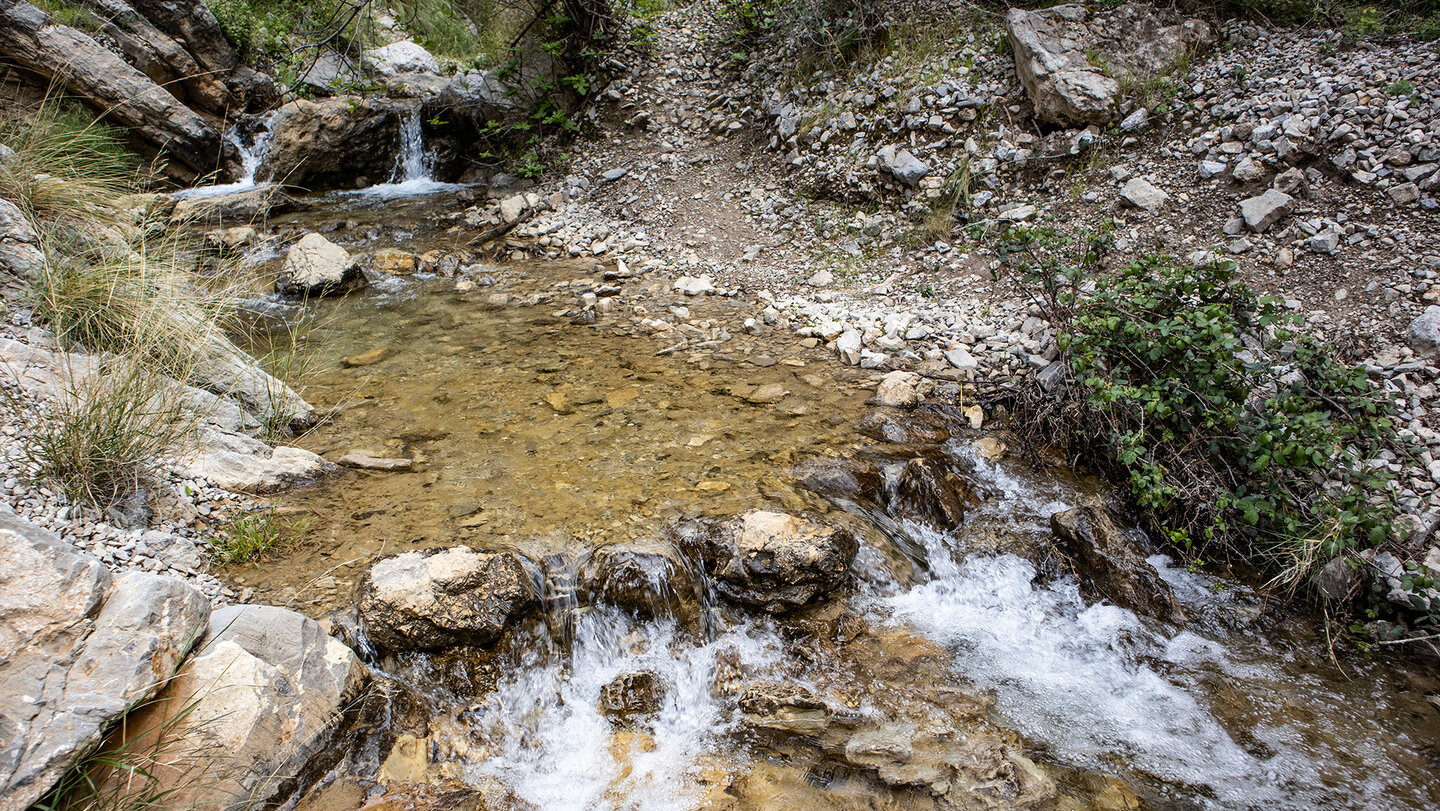 Bachlauf auf der Wanderung zur Caldera del Tío Lobo Bachlauf auf der Wanderung zur Caldera del Tío Lobo