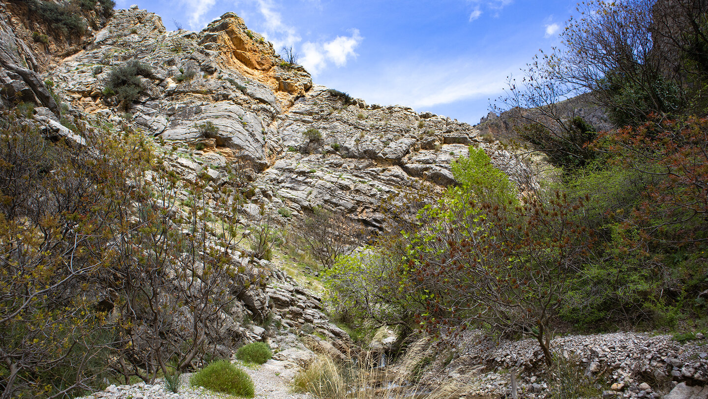Felsverwerfungen am Arroyo de la Eruela in der Sierra Mágina Felsverwerfungen nahe Arroyo de la Eruela in der Sierra Mágina