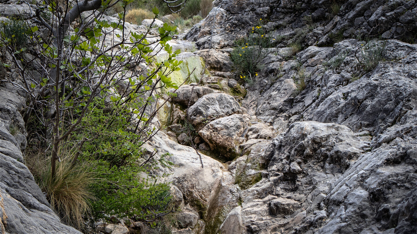 Kletterpassage nach der Querung des Wasserlaufs vom Arroyo de la Eruela Kletterpassage nach der Querung des Wasserlaufs vom Arroyo de la Eruela
