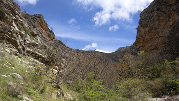 Blick am Wanderpfad zur Caldera del Tío Lobo in der Sierra Mágina