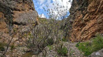 Passage des Wanderwegs am Arroyo de la Eruela zur Caldera del Tío Lobo