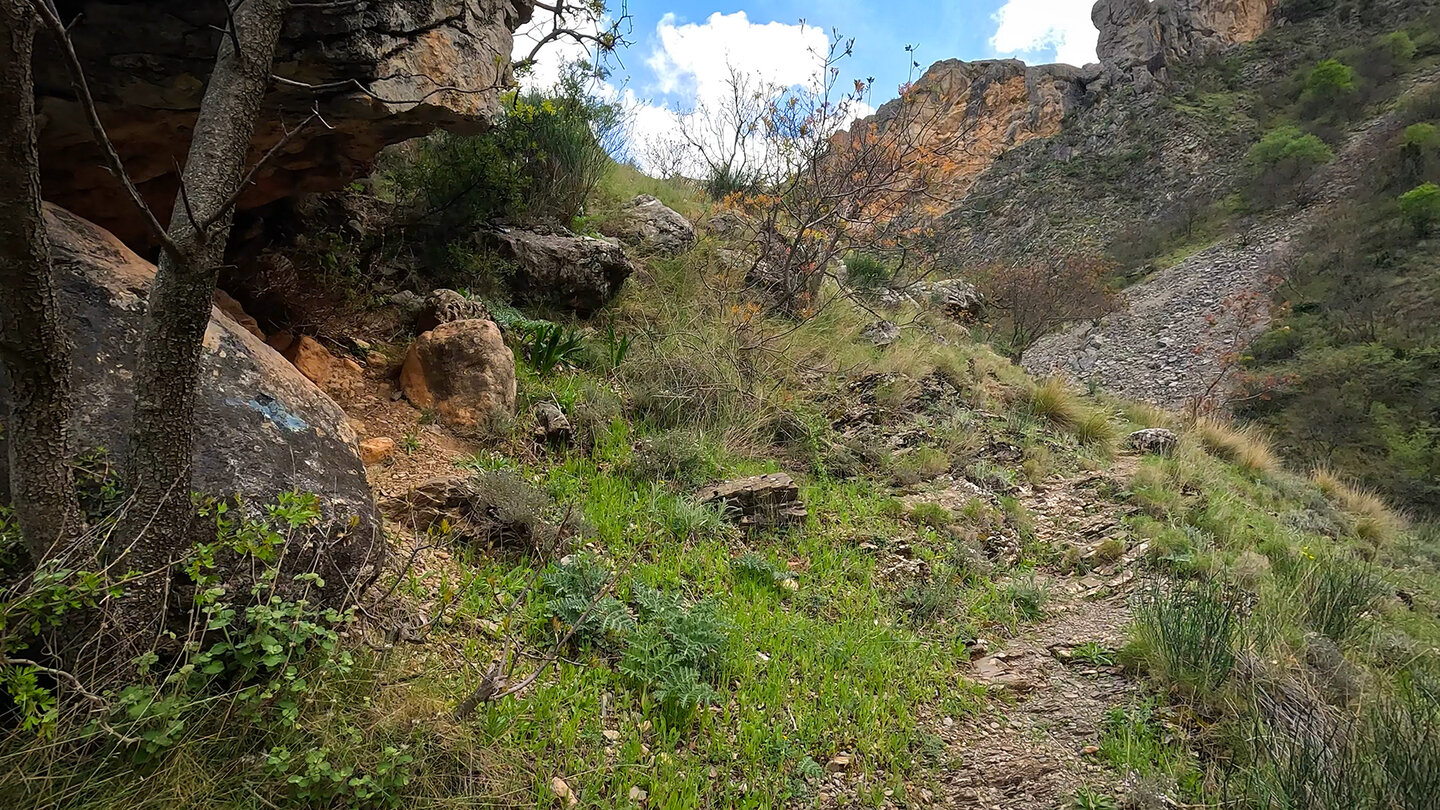 Wanderweg in der Schlucht zur Caldera del Tío Lobo Wanderweg in der Schlucht zur Caldera del Tío Lobo