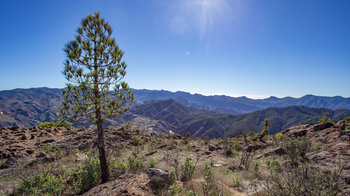 Ausblick von den Gipfeln des Tamadaba bis zur weit entfernten Felsnadel des Roque Nublo
