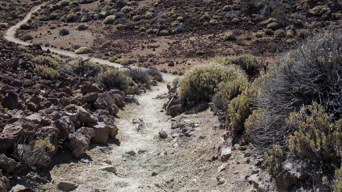 der Wanderweg führt durch Hügellandschaften und Bimssteinflächen