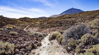 Wanderpfad durch die Caldera mit Blick auf Teide und Montaña Blanca