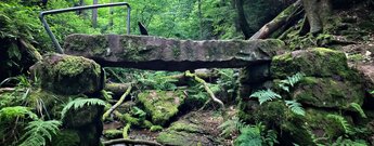 Steinbrücke über das Schlossbächlein in der Wolfsschlucht - Zwingenberg