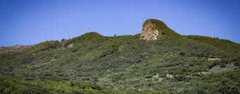 Roque Niquiomo in den grünen Wäldern der Ostküste