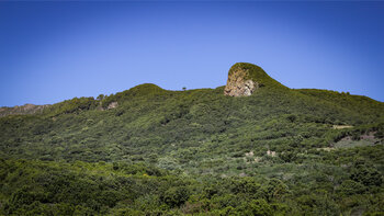 Roque Niquiomo in den grünen Wäldern der Ostküste