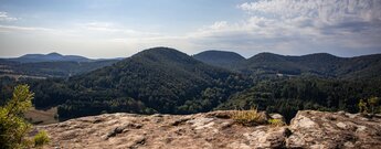 Nesselbergfelsen – weiter Blick über die bewaldeten Kuppen des Wasgau.