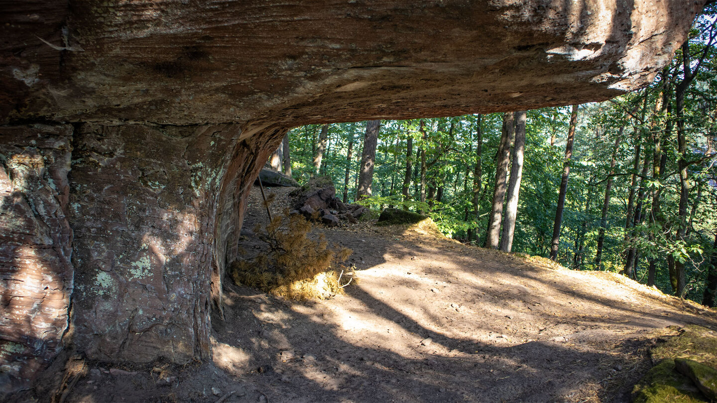 Unterhöhlter Buntsandstein am Nesselberg