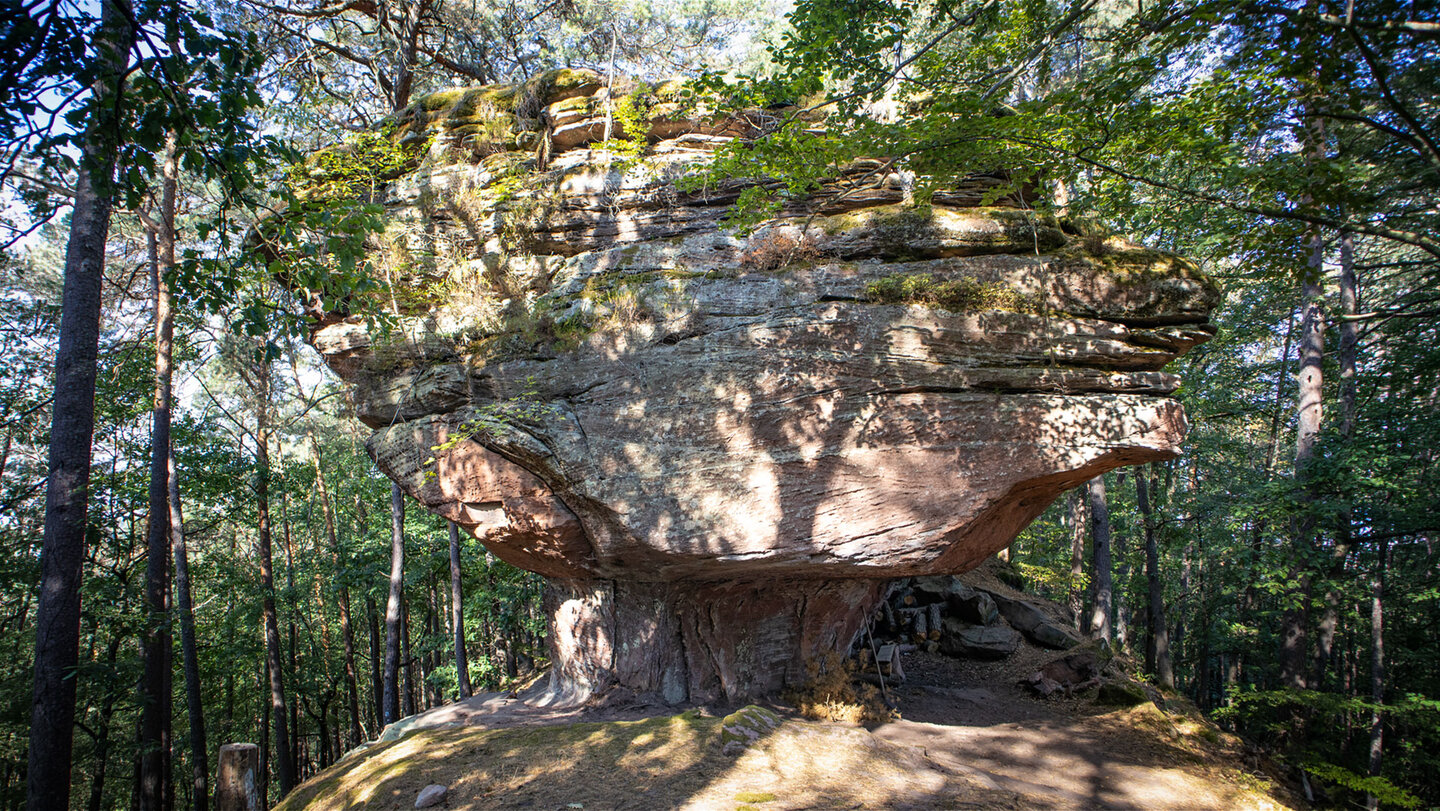 Mächtiger Nesselbergfelsen – pilzförmig unterhöhlt