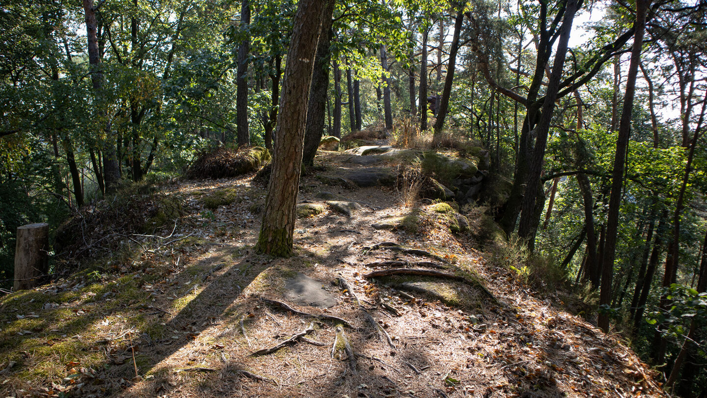 Kammweg entlang des Nesselberg-Felsenriffs