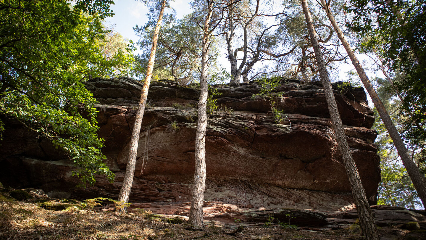 Buntsandsteinformationen am Nesselberg im südlichen Pfälzerwald.