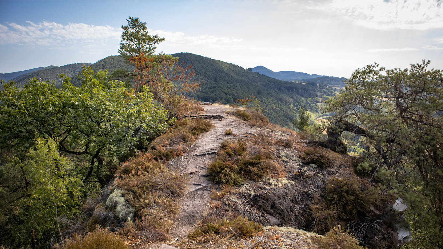 Aussichtskanzel am Nesselberg – der schmale Gratpfad führt über das offene Felsplateau