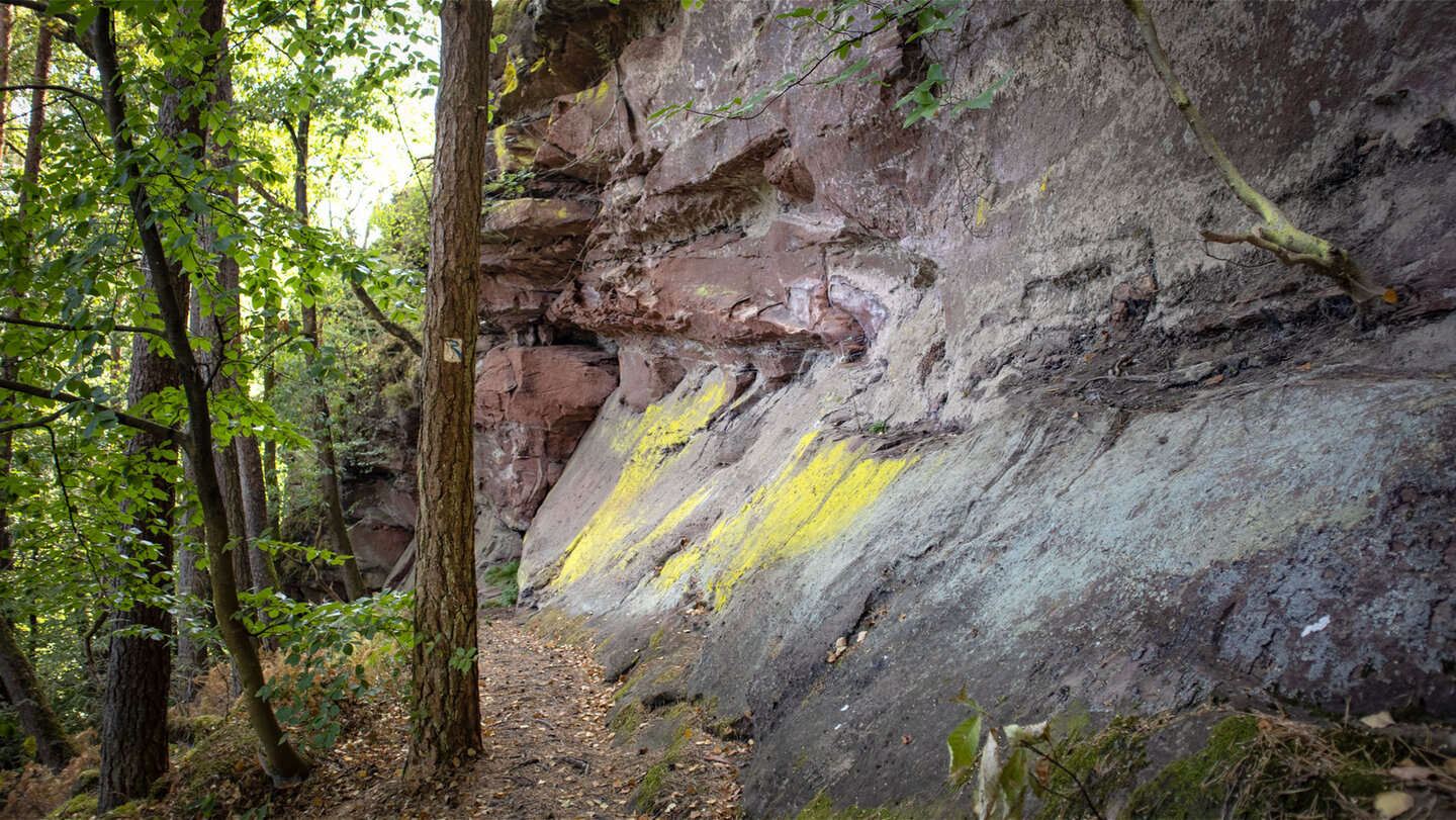 Am Fuß der Nesselbergfelsen – leuchtende Flechten überziehen die Sandsteinwand