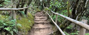 der Wanderweg nahe dem Ausgangspunkt El Contadero