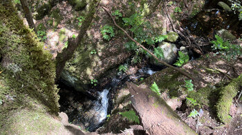 Kaskade am Bachlauf El Cedroidyllischer