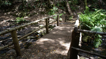 der Wanderweg quert mehrfach den Bachlauf El Cedro über Holzbrücken