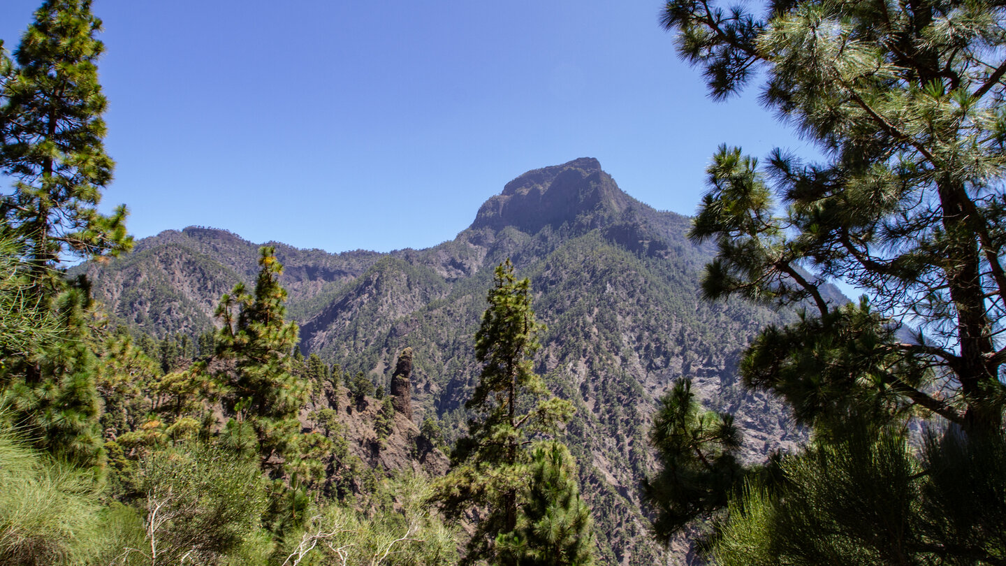 der imposante Gipfel des Pico Bejenado vom Mirador del Lomo de Tagasaste der imposante Gipfel des Pico Bejenado vom Mirador del Lomo de Tagasaste