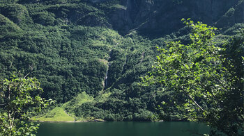 Wasserfälle und Zuflüsse in den Nærøyfjord
