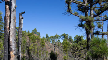 Blick zum Gipfel des Montaña Tamadaba