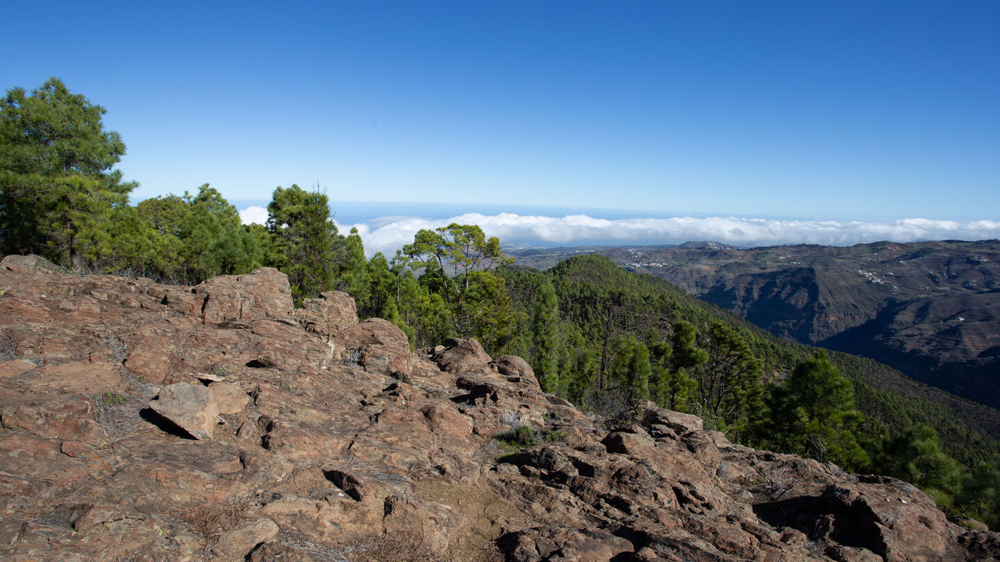 kontrastreiche Landschaft mit Fels und Kiefernwald am Tamadaba