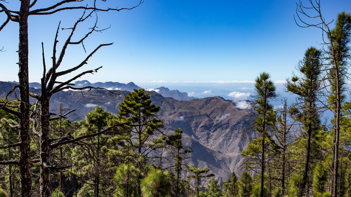 die zerklüftete Berglandschaft Gran Canarias vom Tamadaba-Naturpark die Berglandschaft Gran Canarias vom Tamadaba-Naturpark