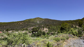 die bewaldeten Hänge der Cumbre Vieja vom GR 130