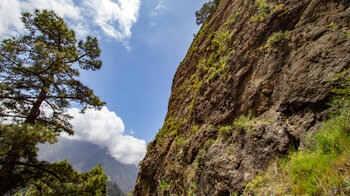 Wanderweg an einer Felswand nahe des Roque de la Viña