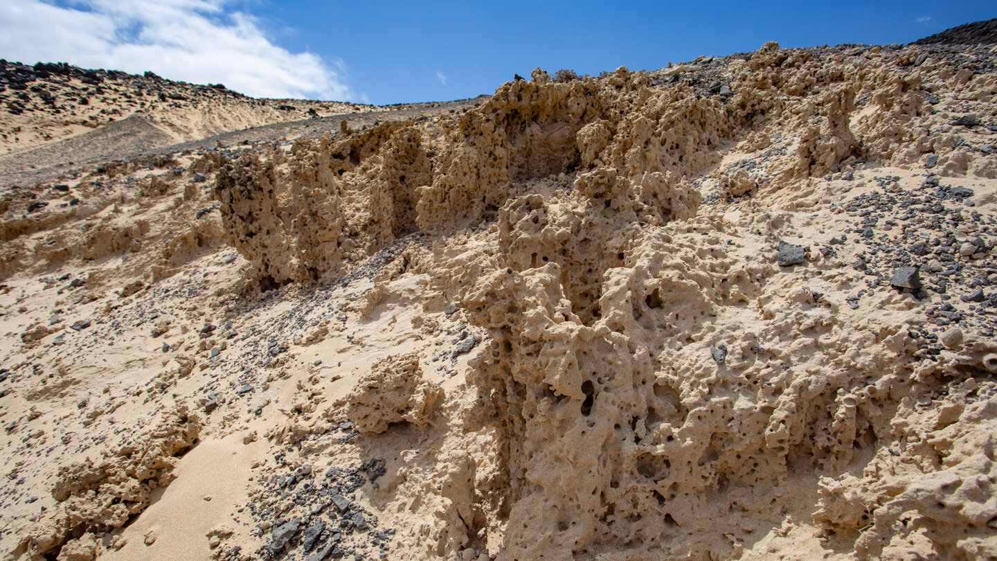 bizarre Formationen im verfestigten Sand bizarre Formationen im verfestigten Sand