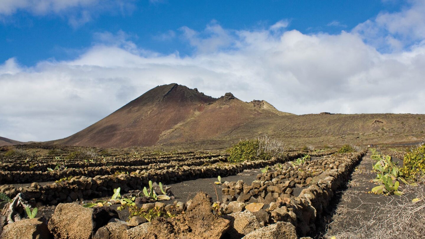 Feigenbäume und Opuntien prägen die Kulturlandschaft um den Vulkan Monte Corona