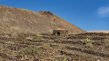 auch der Anbau von Wein am Monte Corona fehlt nicht