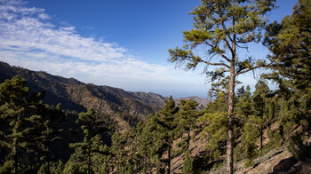 Ausblick über den Tamadaba-Naturpark auf Gran Canaria