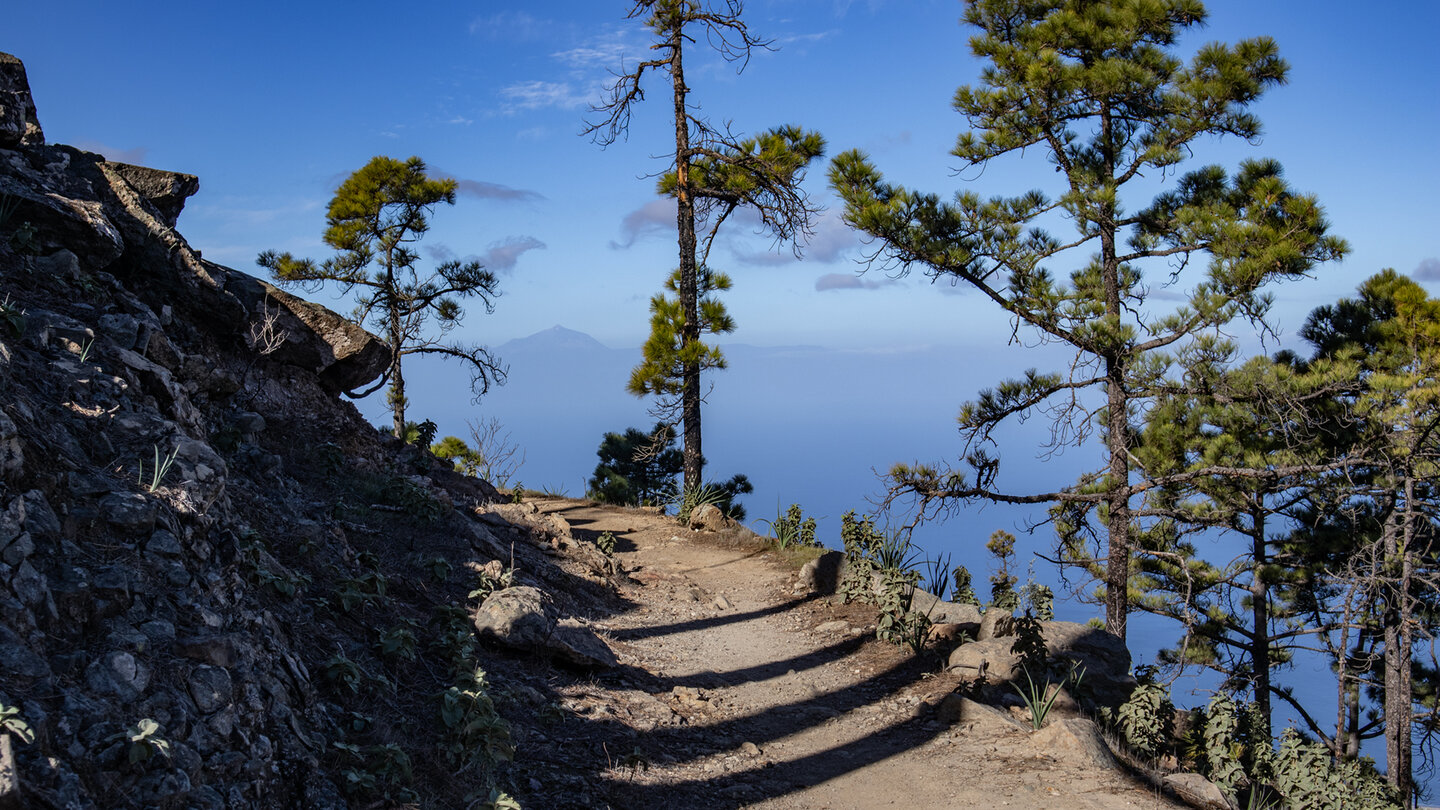 Wanderung im Tamadaba mit Teneriffa am Horizont