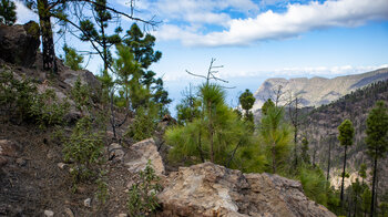 Roque Faneque und Laurel-Schlucht