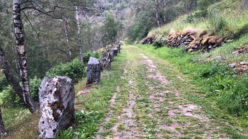 weiter geht es auf dem Kongevegen over Filefjell